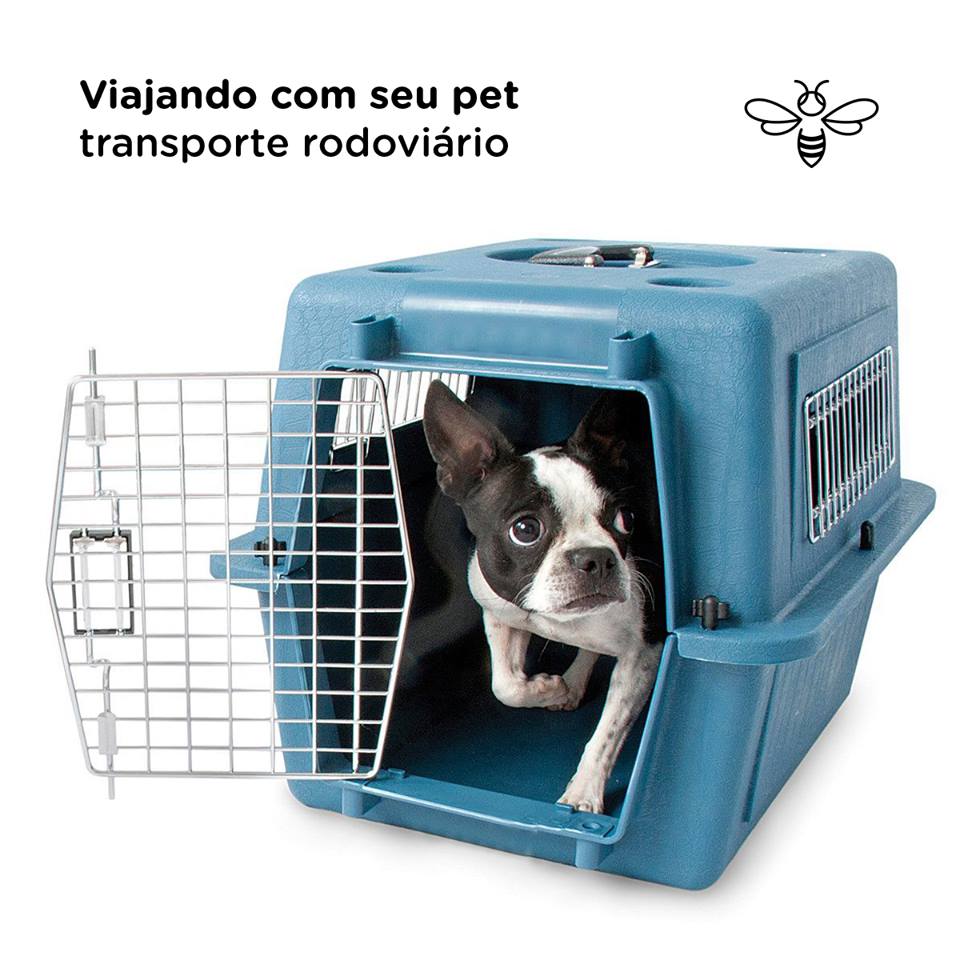 Viajando de ônibus com seu bicho de estimação