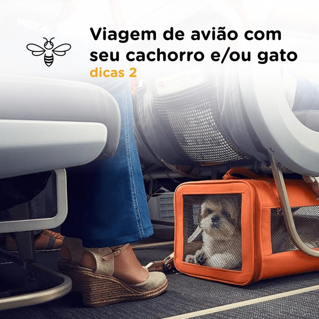 Viagem avião com cachorro e/ou gato