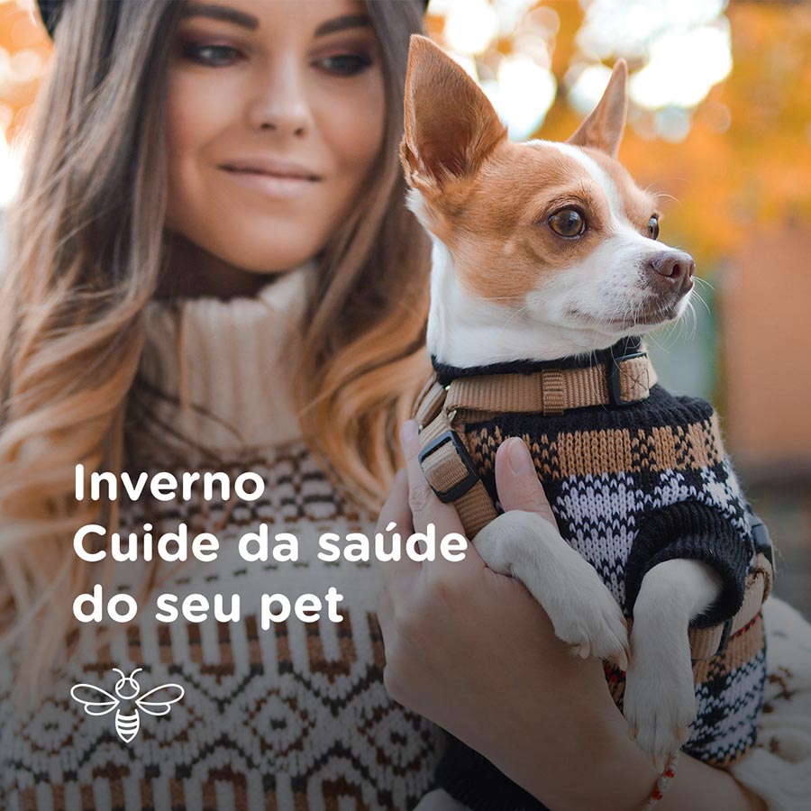 inverno