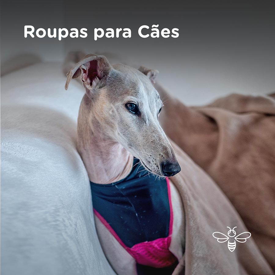 Roupas para Cães