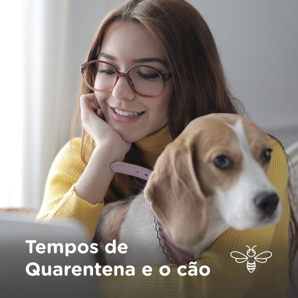 Tempos de Quarentena e o Cão