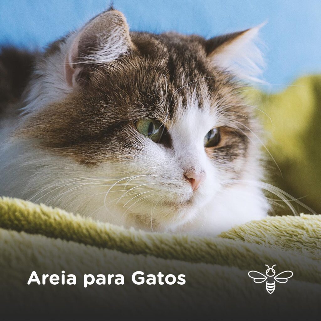 Areia para Gatos