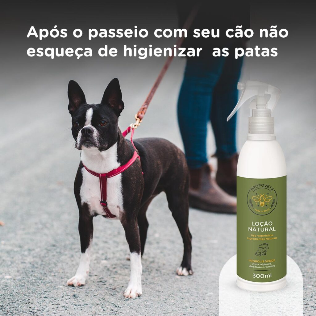 após o passeio com seu cão não esqueça de higienizar as patas