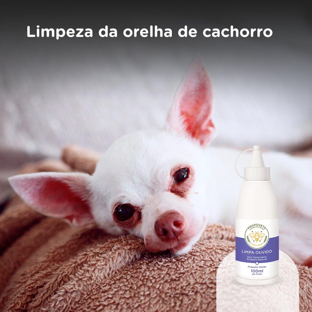 Limpeza da orelha de cachorro.psd